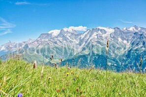 A mountain landscape with snow-capped peaks and a foreground of green grass and wildflowers.