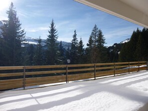 Property grounds - 1st floor, view ski slopes, terrace, tv, ski locker, 37m², Flaine (Flaine)