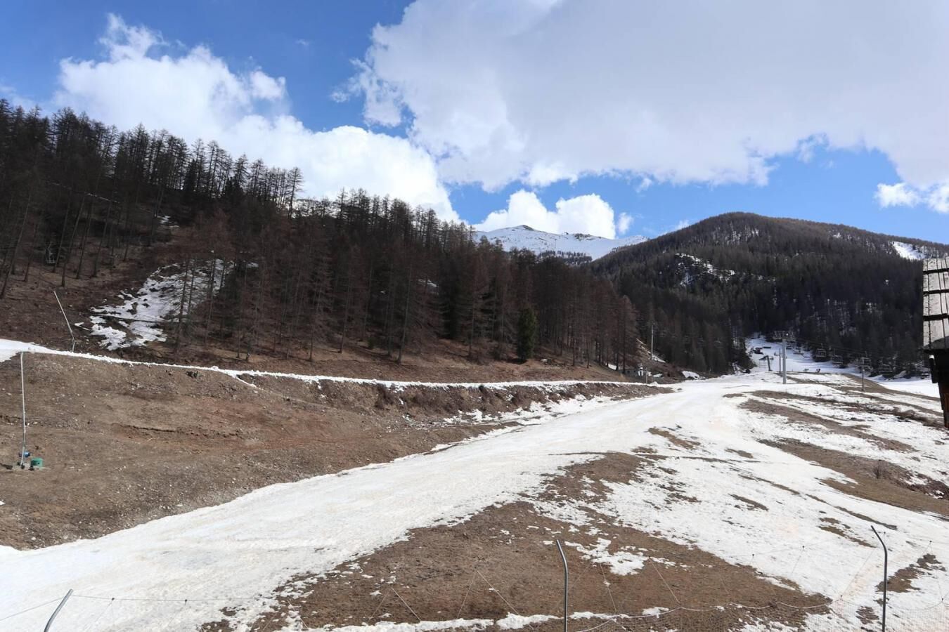 Schneebedeckte Landschaft mit Feldweg, Bäumen und einem Berg im Hintergrund.