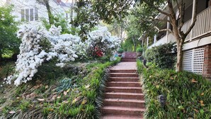 A brick staircase surrounded by lush greenery and white flowering trees.