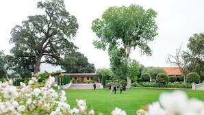 Un jardín con un edificio, árboles grandes y césped.