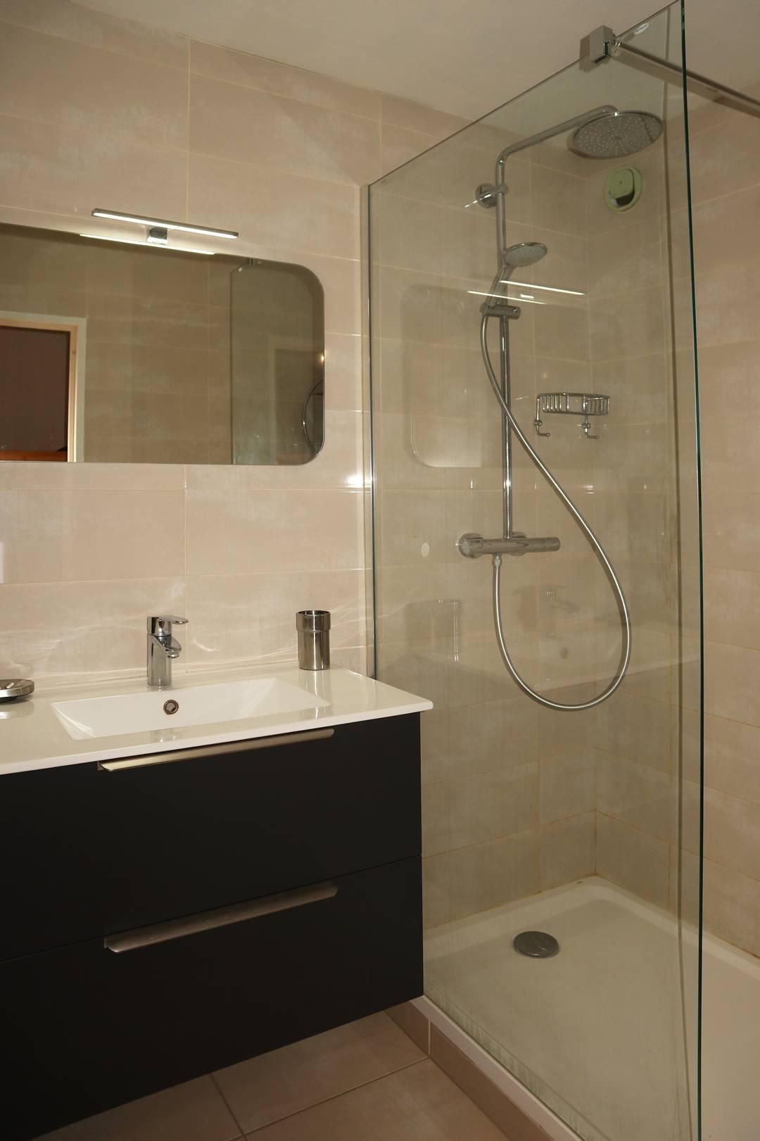 Une salle de bain moderne avec une douche à parois de verre, un lavabo blanc et un meuble-lavabo aux tons foncés.