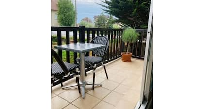 Quiet apartment 2 from the Grand Hotel and the Promenade Marcel Proust