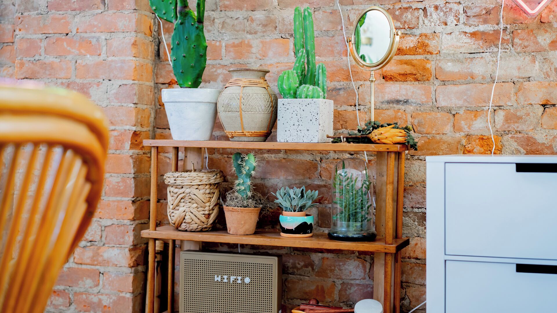 A rustic brick wall with shelves holding various potted plants and a vintage radio.