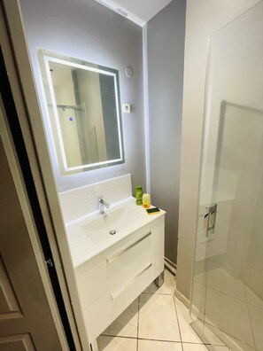 Shower, hair dryer, toilet paper