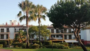 Um pátio com caminho, palmeiras e um edifício com várias sacadas.
