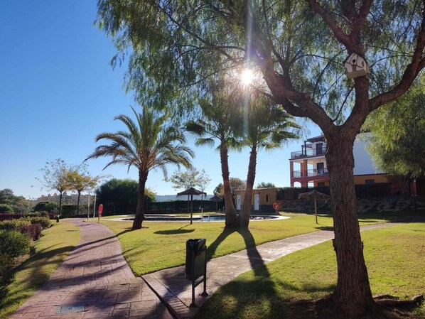 A pathway leading through a park with palm trees, a gazebo, and a building in the background.