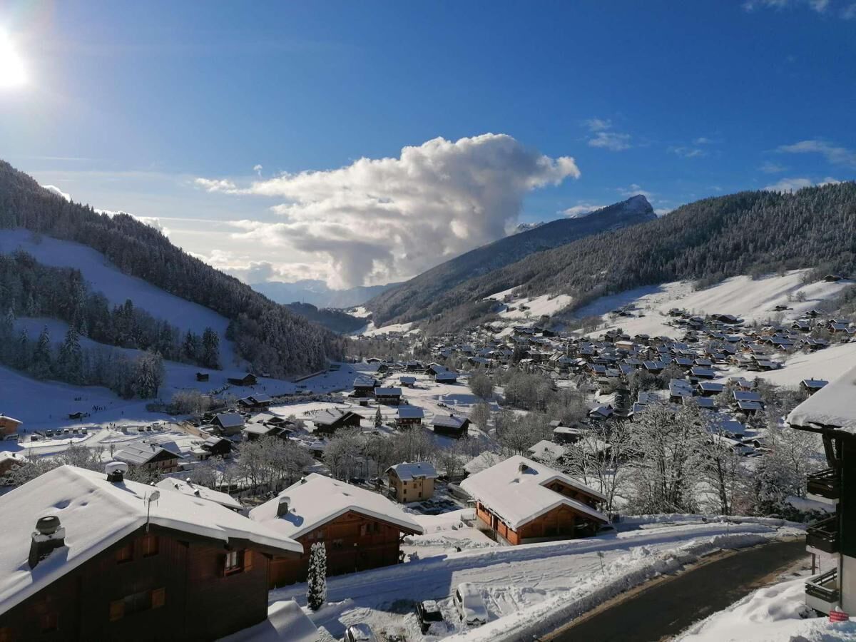 A snow-covered village with traditional wooden houses, a clear sky, and a mountain in the background.