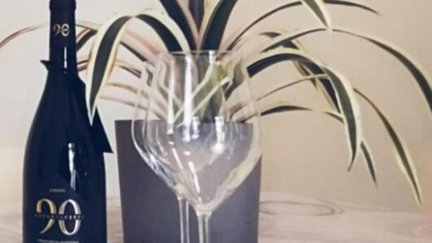 Una bottiglia di vino, un bicchiere da vino e una pianta in vaso su un tavolo.