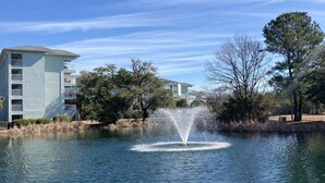Un lago con una fuente en el centro, rodeado de árboles y edificios.