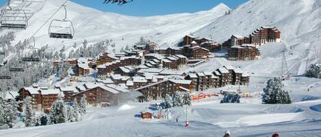 Sneeuw- en skisporten