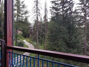A balcony with a view of a forested area and a winding path.