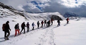 Sne- og skisport
