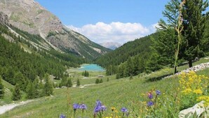 Paesaggio montuoso con un lago blu cristallino, fitti boschi e una varietà di fiori selvatici.