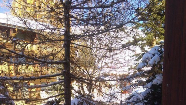 A wooden deck with snow-covered branches and a building in the background. - 50m from ski slopes, 7th floor, tv, 19m², Orcières Merlette 1850 (Orcières)