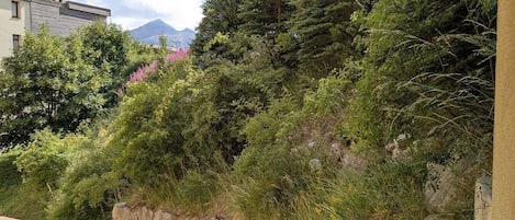 A mountainous landscape with dense vegetation and a building in the background.