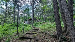 A forested area with a wooden staircase leading to a cabin. - The Sauna Cottage on Keuka Lake - Wine Trail Retreat (Keuka Park)