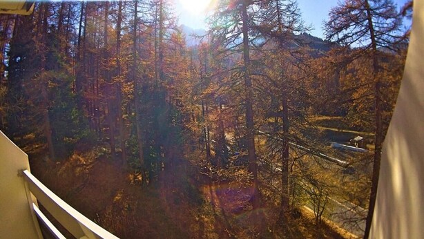 A view from a balcony overlooking a forested area with a clear sky.