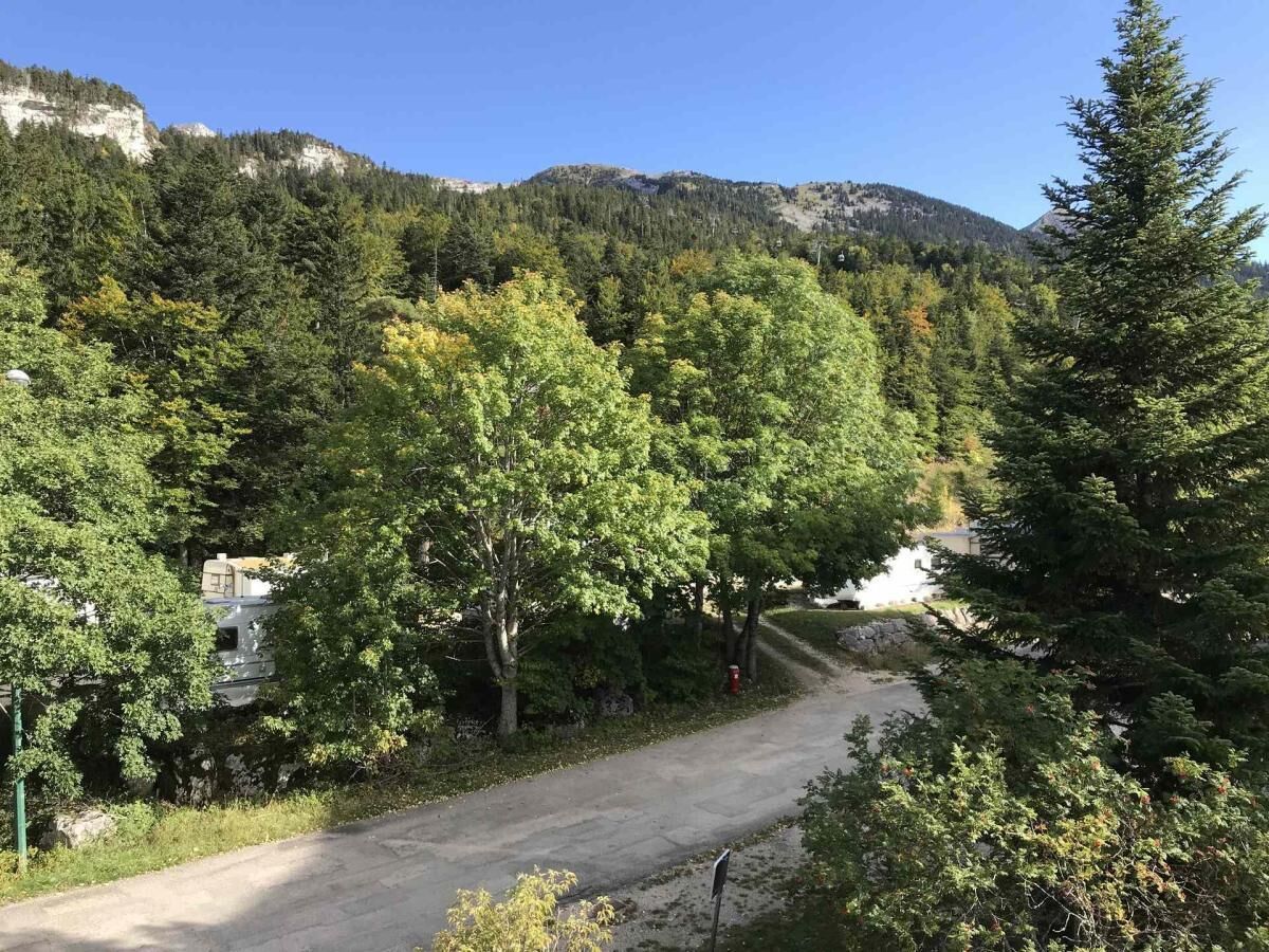 A road flanked by dense trees and a mountain backdrop.