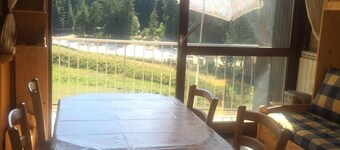 Wifi, ski-in/ski-out & foot of the slopes, 3rd floor, balcony, 41m², Villard de Lans