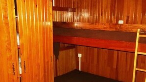 A bunk bed room with wooden walls and a ladder.
