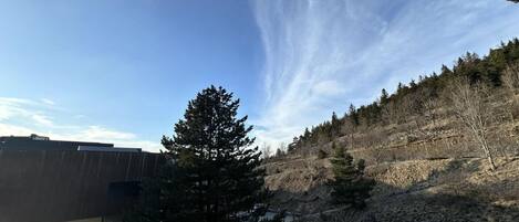 A view of a building with a clear sky and a forested hillside.