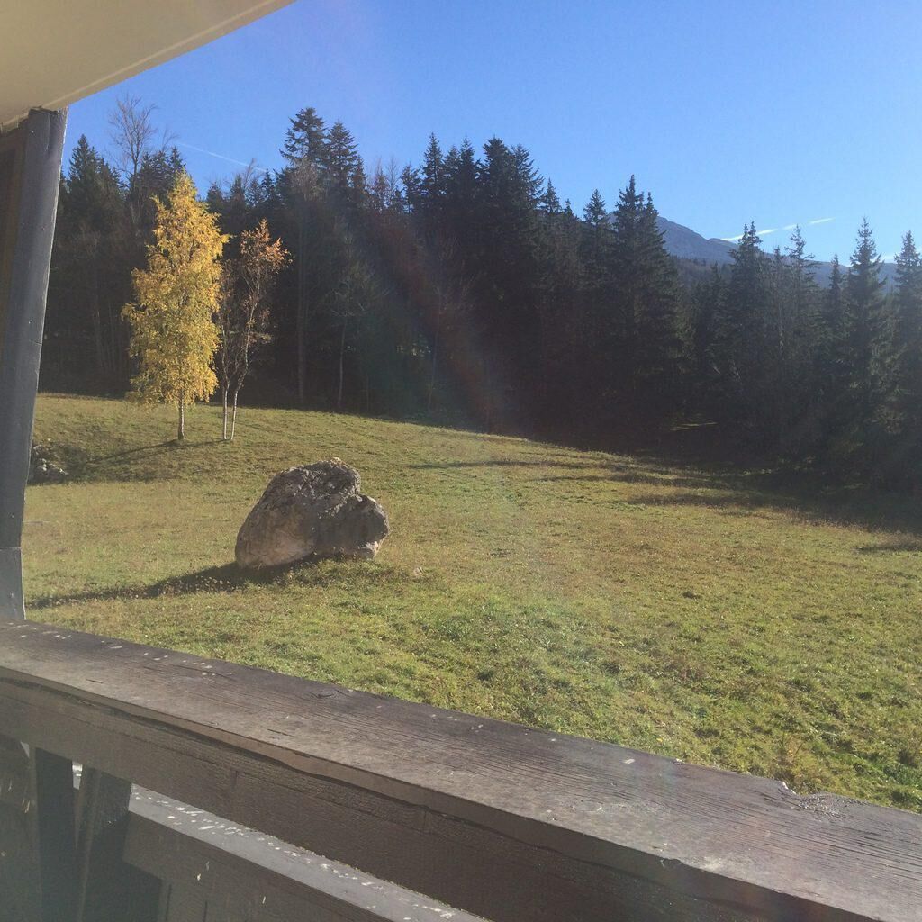 Blick auf ein grasbewachsenes Feld mit einem großen Felsen und Bäumen im Hintergrund.