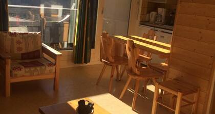 Ă 50m des pistes de ski, Ă©tage -2, vue montagne, balcon, parking, tĂ©lĂ©vision, 34mÂČ, Villard de Lans