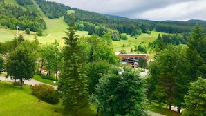 Un paysage rural avec un bâtiment entouré d’arbres et de champs ouverts.
