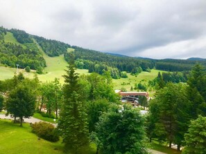 Miscellaneous - 5th floor, view ski slopes, balcony, parking, tv, 43m², Villard de Lans (Villard-de-Lans)