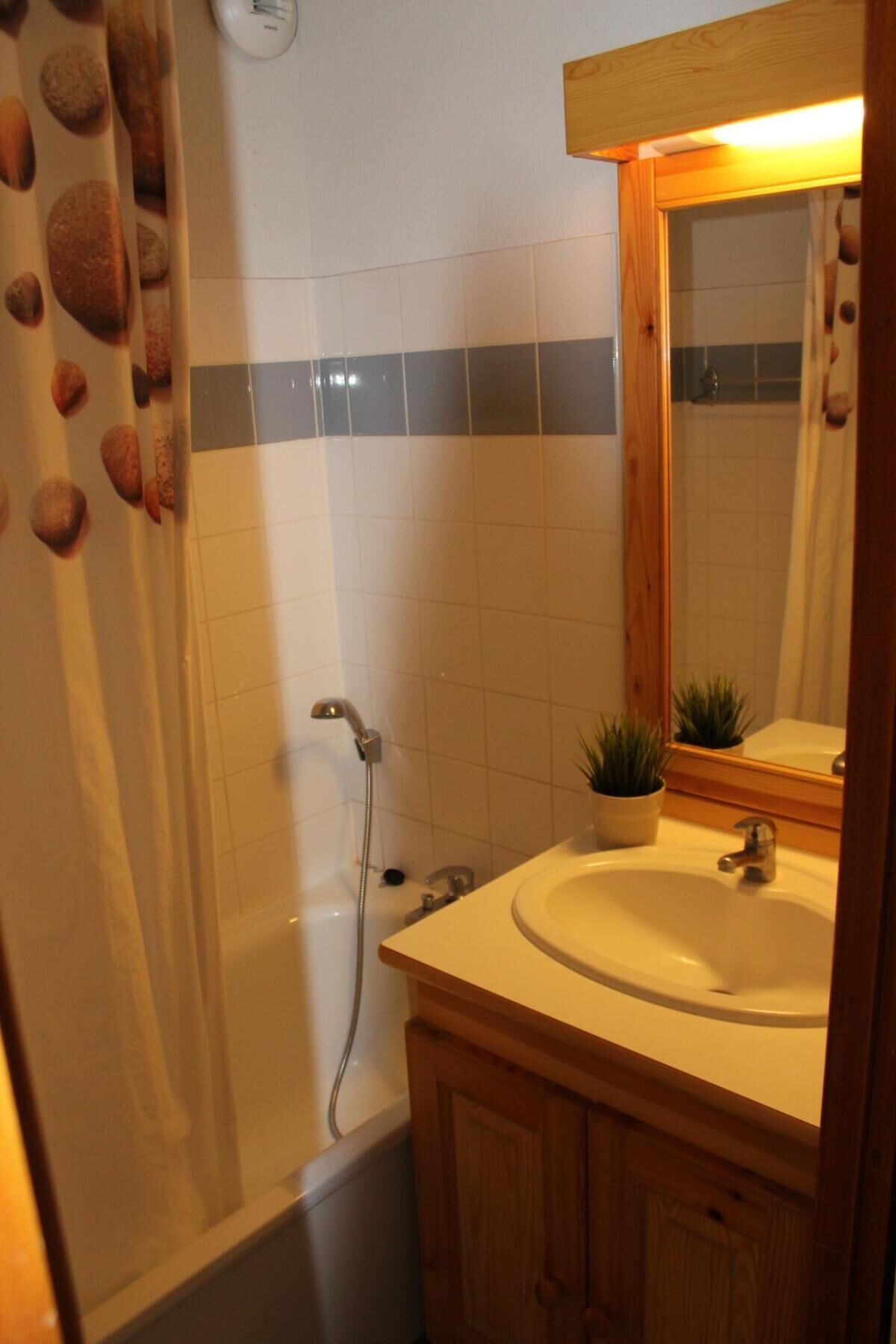 A bathroom with a shower, a sink, a mirror, and a potted plant.
