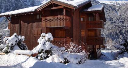 100m from ski slopes, 1st floor, balcony, tv, ski locker, 25m², Pralognan-la-Vanoise