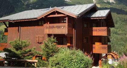 100m from ski slopes, 1st floor, balcony, tv, ski locker, 25m², Pralognan-la-Vanoise