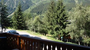Vista sulle montagne da un balcone con ringhiera in legno, che si affaccia su una strada con un veicolo e una fitta foresta.