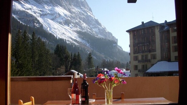 Ein Balkon mit Blick auf schneebedeckte Berge, einer Blumenstrauß in einer Vase und zwei Weinflaschen.