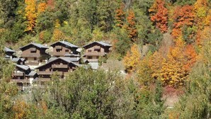Eine Gruppe aus Holzblockhäusern mit mehreren Stockwerken und Balkonen, umgeben von dichtem Wald mit Herbstlaub.