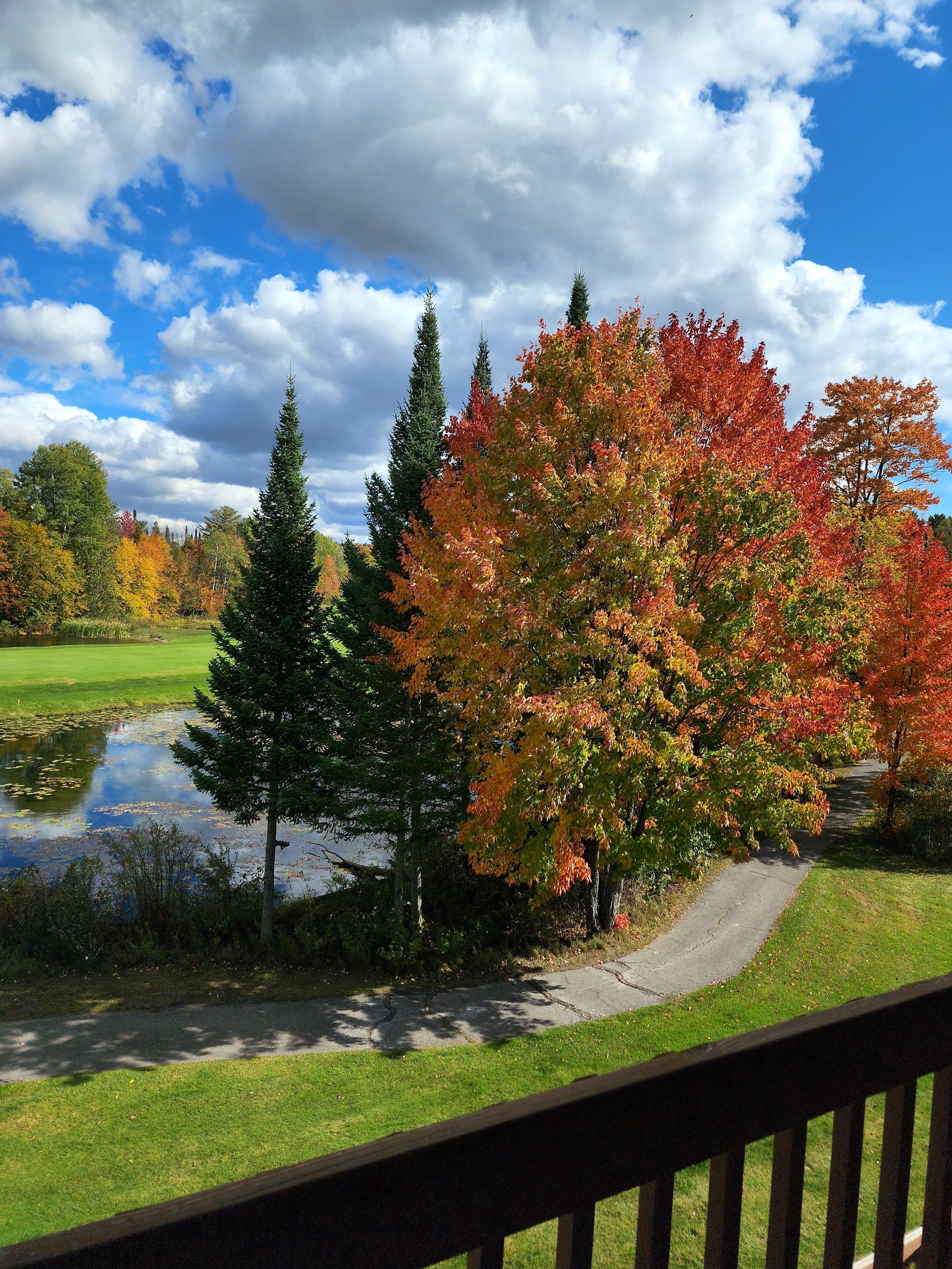 Camp de golf amb una bassa, arbres amb fullatge d'octubre i un cel serè.