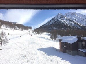 Sne- og skisport