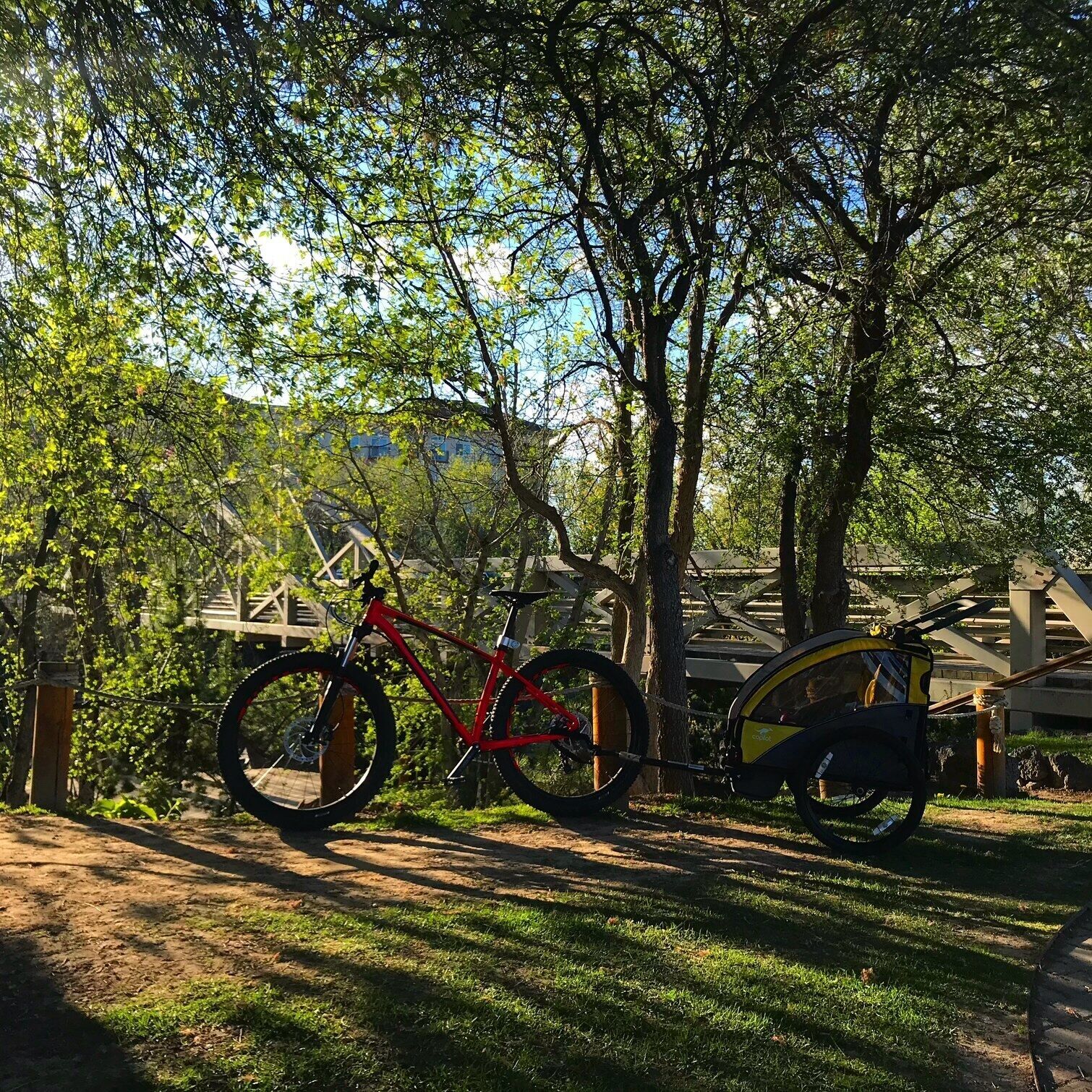 Una bicicleta roja estacionada bajo un árbol en un parque, con una estructura de madera al fondo.