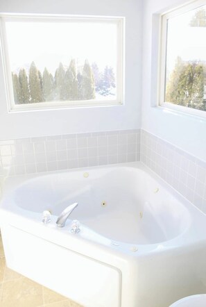 Combined shower/tub, jetted tub, hair dryer, towels