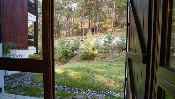 Une porte en bois qui donne sur une zone boisée, avec un sentier pavé de pierres.