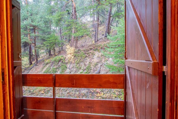 Interior - 250m from ski slopes, 1st floor, balcony, parking, tv, 30m², La Norma (La Norma)