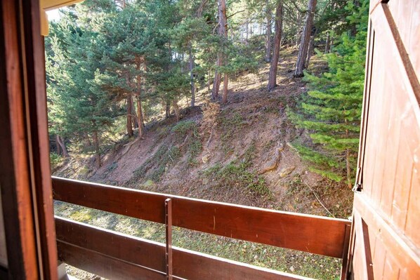 Interior - 250m from ski slopes, 3rd floor, balcony, parking, tv, 35m², La Norma (La Norma)