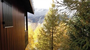 A wooden cabin with a view of a forested valley.