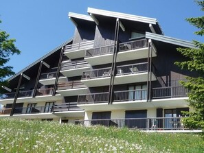 Exterior - 200m from resort center, Ground floor, view mountain, balcony, tv, 28m², Les Saisies (Les Saisies)
