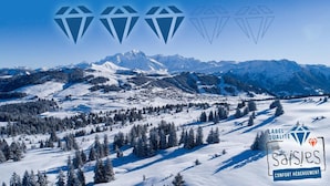 Snø- og skisport