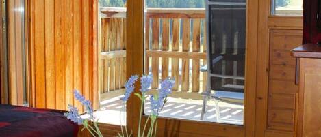 1 camera, Wi-Fi (a pagamento)