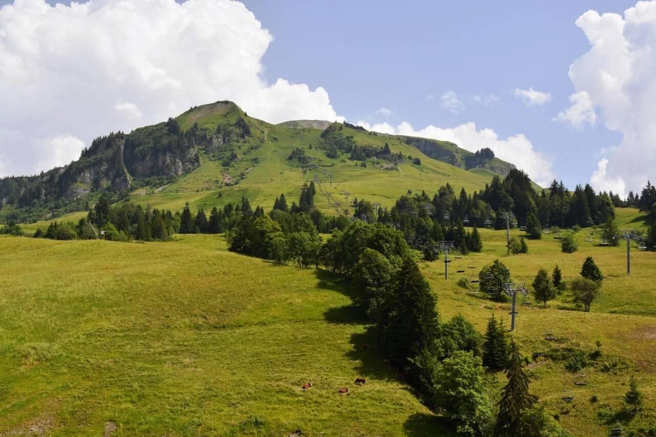 Een bergachtig landschap met een grasveld en verspreide bomen.