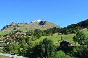 Eine gebirgige Landschaft mit einem Dorf traditioneller Holzhäuser.