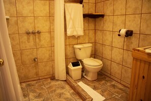 Shower, hair dryer, soap, toilet paper